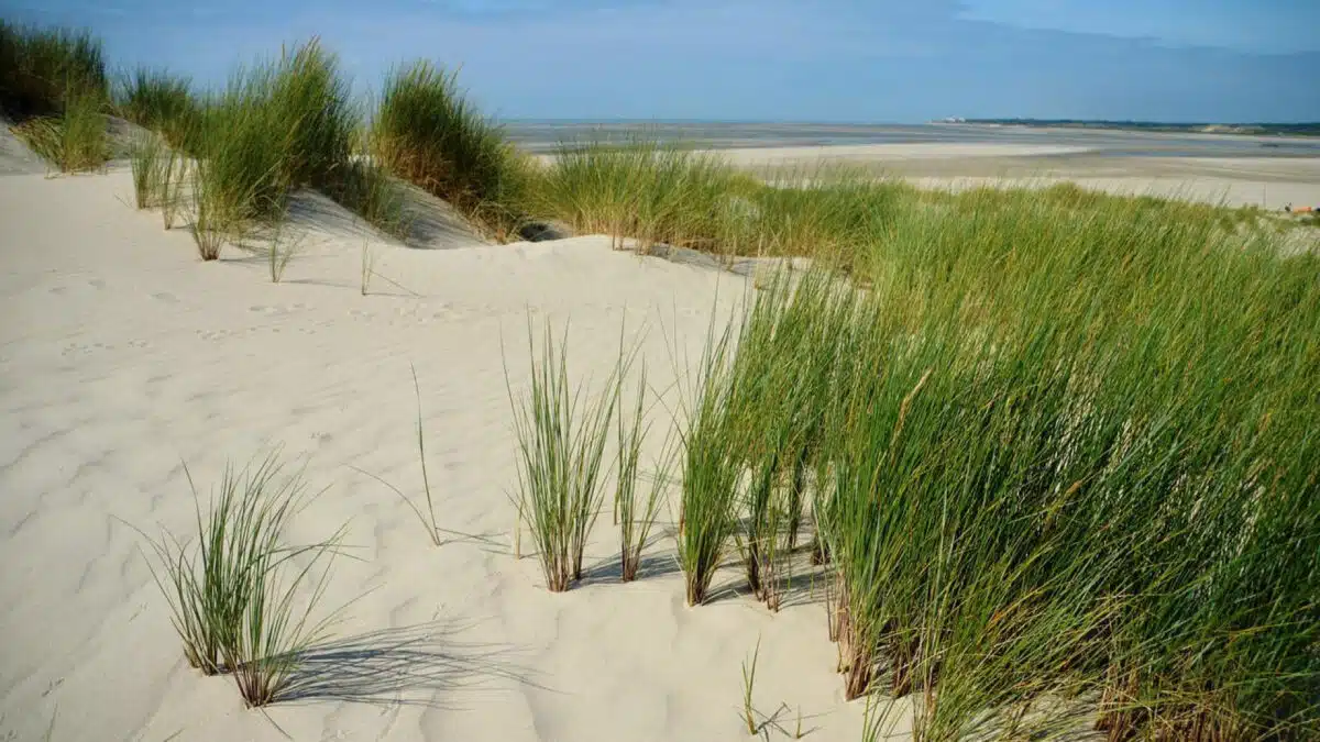 Escapades originales dans le Pas-de-Calais à découvrir en camping car