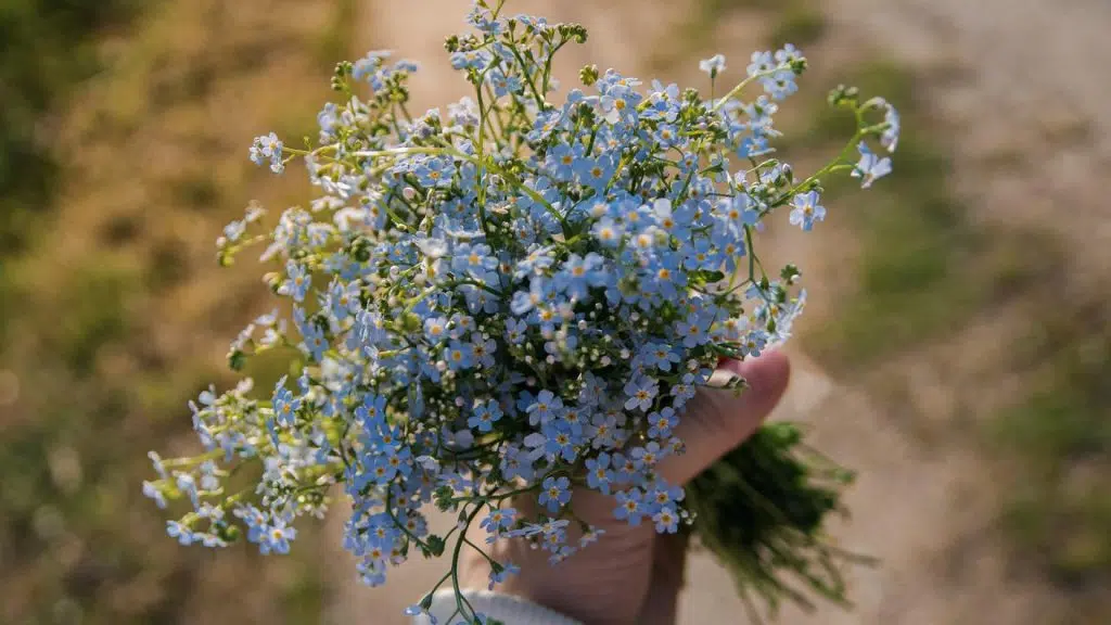 Les meilleures occasions pour offrir un bouquet de fleurs