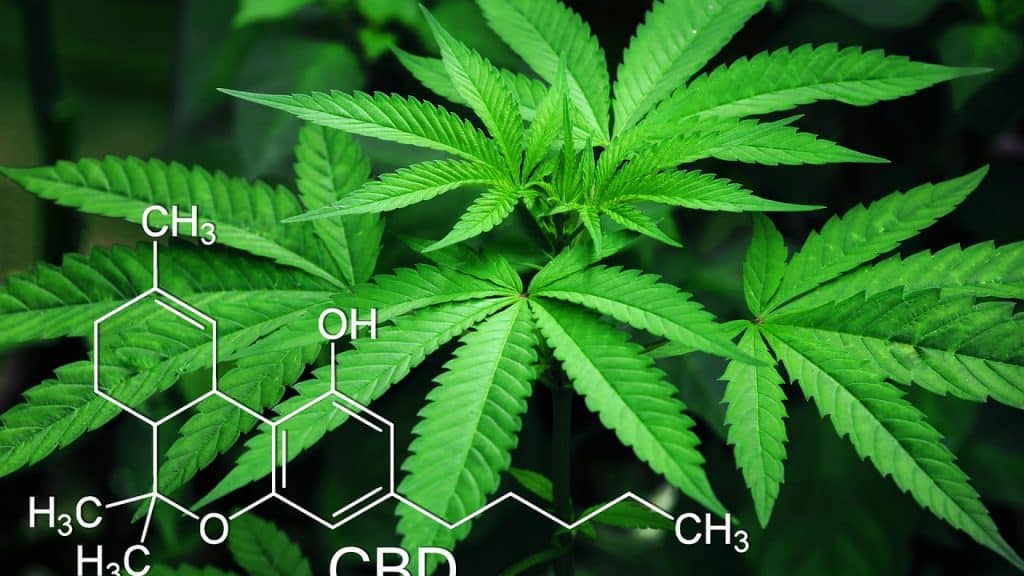 Où se procurer du matériel pour cultiver lcertaines plantes ?