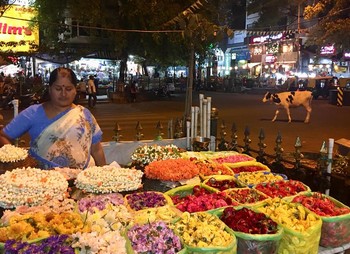Quand aller à Bangalore ?